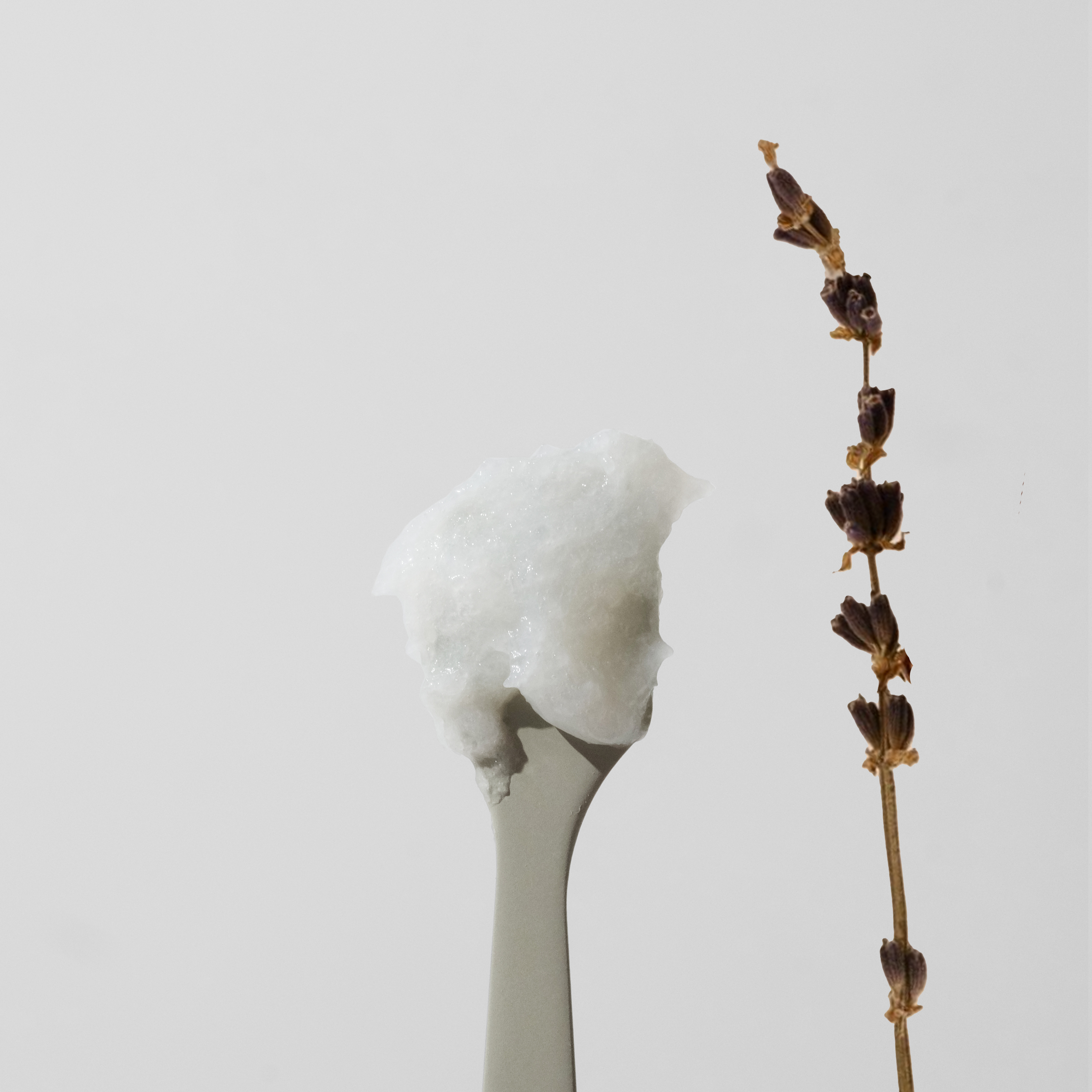 Plant Body Butter